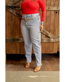 Calça Frida plus Azul Claro | TLF Jeans